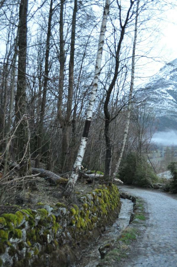 Residencial Valle De Benasque Bagian luar foto